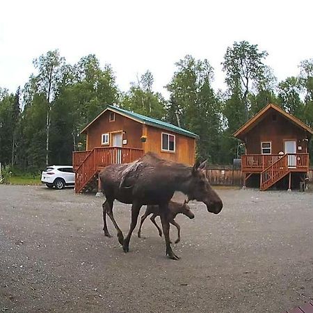 Talkeetna Love-Lee Cabins Hotel Eksteriør billede