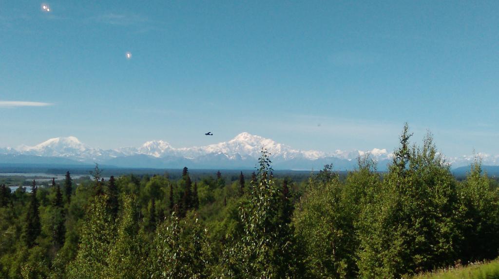 Talkeetna Love-Lee Cabins Hotel Eksteriør billede