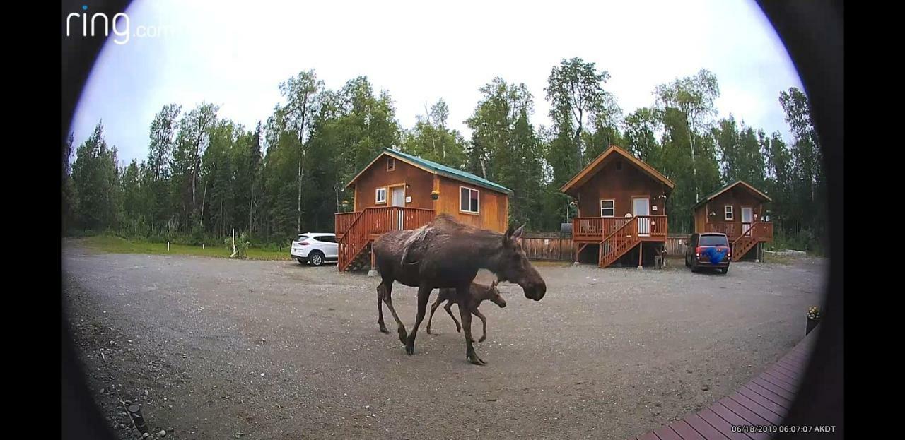 Talkeetna Love-Lee Cabins Hotel Eksteriør billede